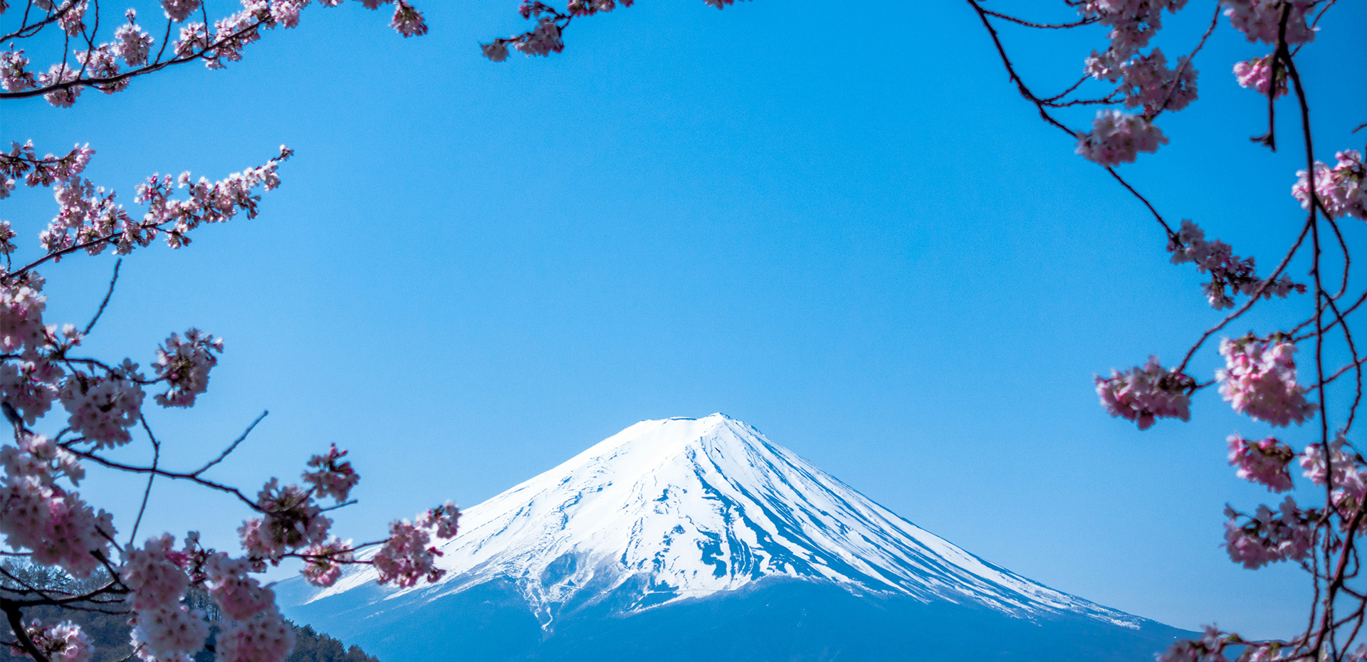 Home Page Slideshow（尺寸1920*930px）